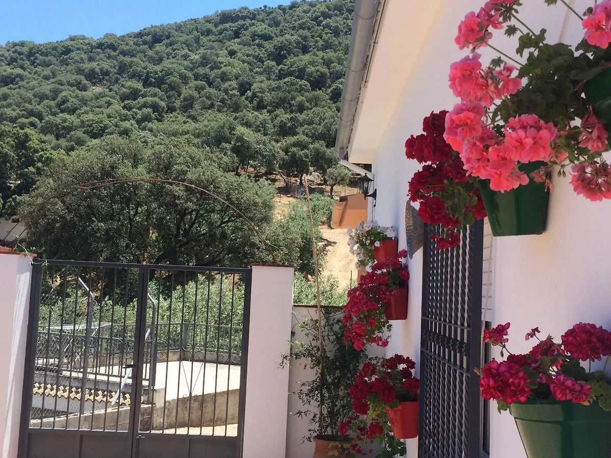 Villa La Quinta Priego De Cordoba
