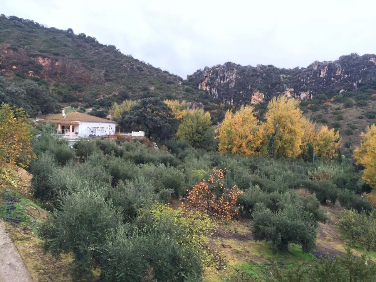 Villa La Quinta Priego De Cordoba